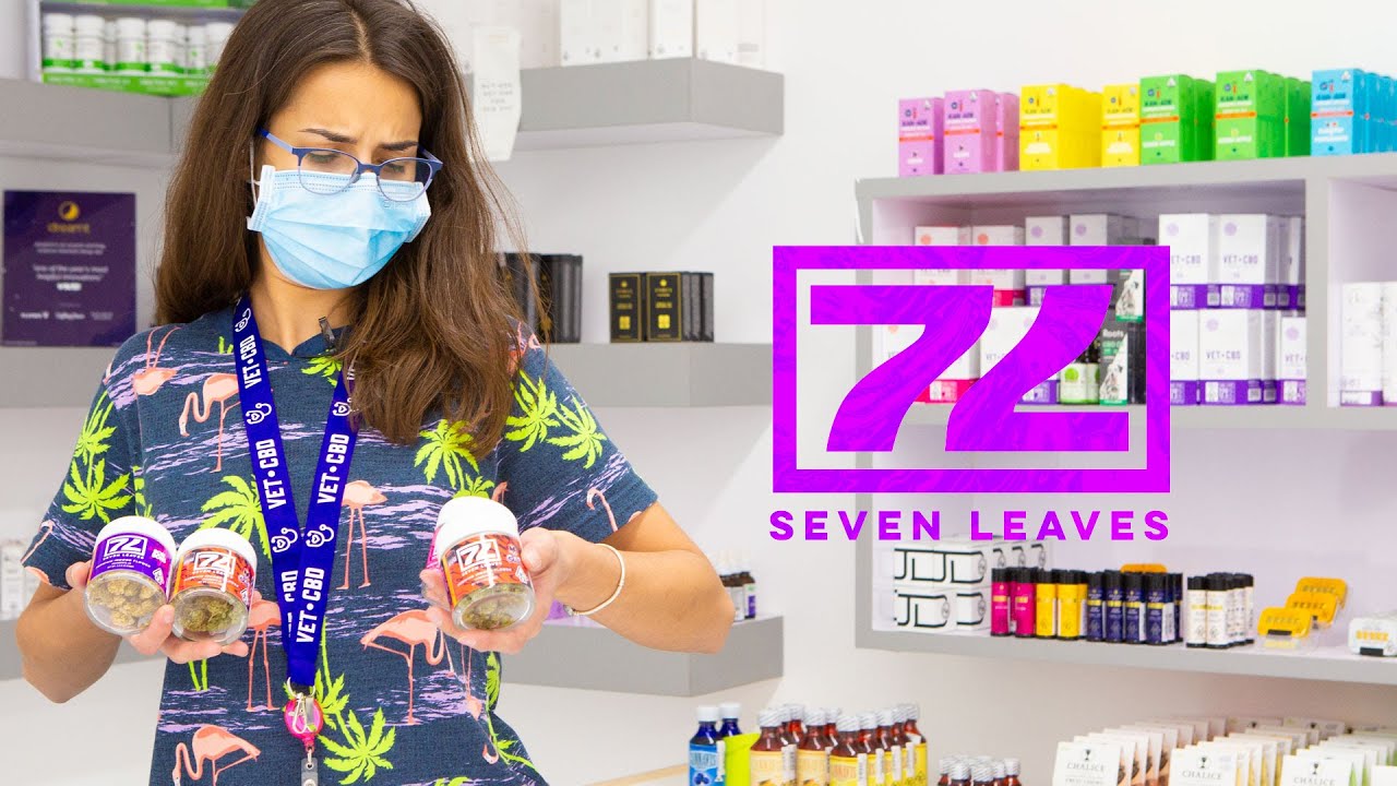 7 leaves safia youtube