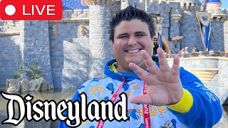 WE LIVE AT DISNEYLAND