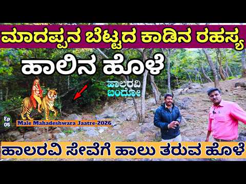 "ಮಾದಪ್ಪನ ಹಾಲರವಿ ಸೇವೆಗೆ ಹಾಲು ತರುವ ಬೆಟ್ಟದ ರಹಸ್ಯ ಹೊಳೆ"-E04-Male Mahadeshwara Temple Tour-Kalamadhyama