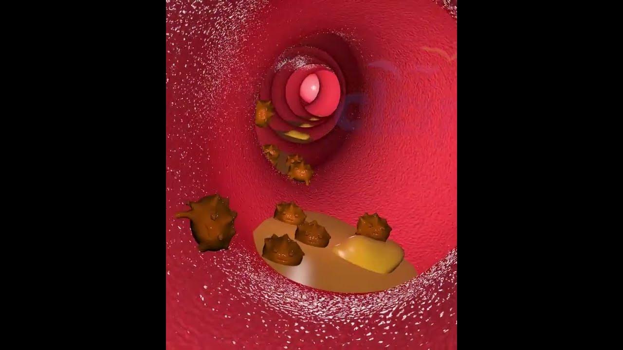 What Happens When You Drink? Alcohol's Journey Through Your Body 🍷 (3D Animation)