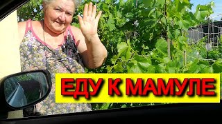 ЕДУ к МАМУЛЕ и мимо ПО ДЕЛАМ мясо на шашлык БРАТУ