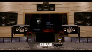 梅艳芳《夕阳之歌》百万豪装录音棚大声听 《夕阳之歌》是由陈少琪作词,马饲野康二作曲,梅艳芳演唱的歌曲,收录于梅艳芳1989年8月1日发行的专辑《In Brasil》中 。该曲是电影《英雄本色3:夕阳之