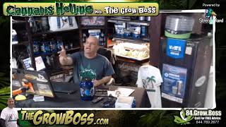 #GrowBossRESTREAM  - stop killin your cannabis plants #3