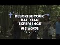 Describe your bai xian experience in 3 words