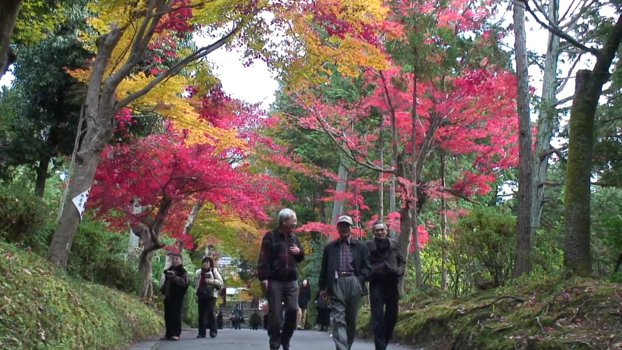 京都の秋曼殊院門跡紅葉mansyuin At Autumn Season In Kyoto Youtube