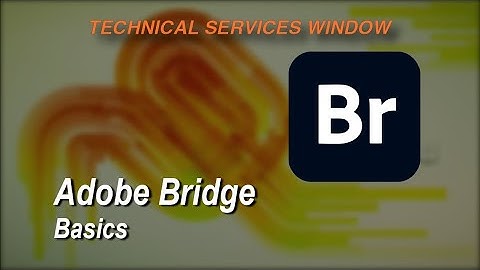 Adobe Bridge Basics