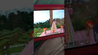 Minecraft rollercoaster Wealth