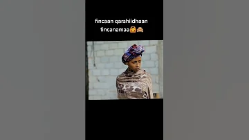 New Afaan Oromo Drama Shibire Bashkada Egere Media Lovestory N Inspiration Ok Lovestory On 