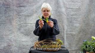 Kokedama Design Demonstration with Dawn Weaver