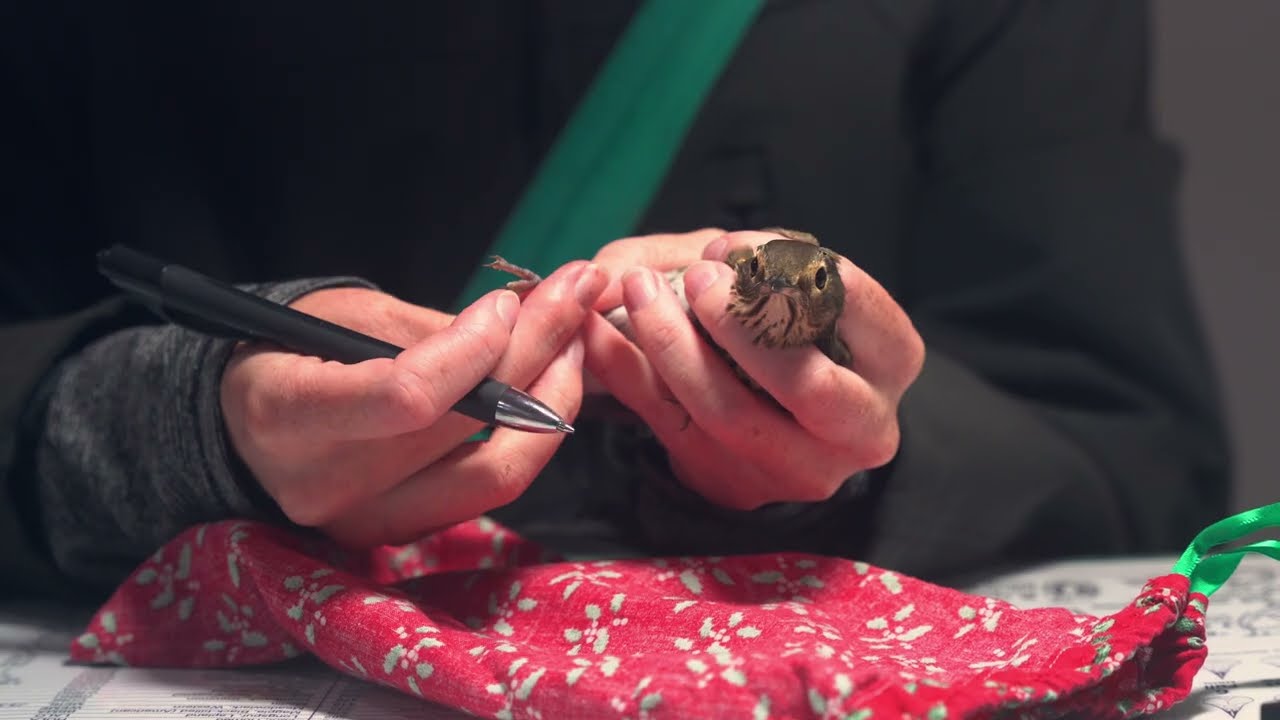 Lesser Slave Lake Bird Observatory Education Programs