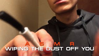 ASMR | Wiping The Dust Off You (Wiping, Dusting sounds) screenshot 2