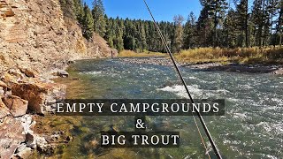 I CAN NOT believe this Forest Service Campground was EMPTY considering how BIG the TROUT are! p33