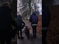 French Bulldog Gets a Lesson from a Border Collie #dogtraining #shorts