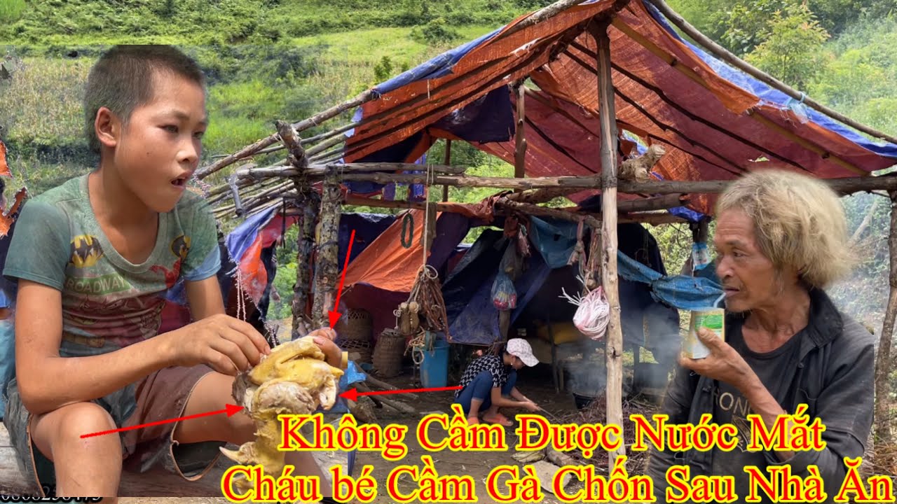 “ĐỨA CON BẤT HIẾU”Hoàn Cảnh BÁC GIÀ PÓ Tan Tác Đến Tận Cùng Của Sự Nghèo khó