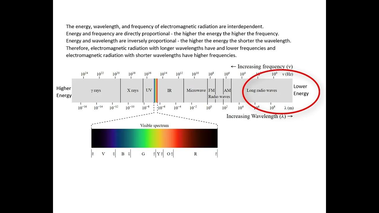 Trends in the Spectrum YouTube