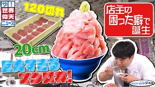 【ザ！世界仰天ニュース】巨大すぎるマグロ丼！店主の困った癖で誕生！
