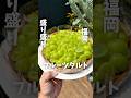 フルーツ会社が営むフルーツタルト専門店