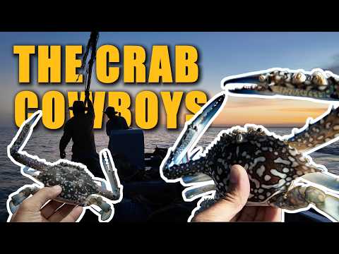 The Ocean Cowboys: High-Stakes Livelihood In Rough Seas