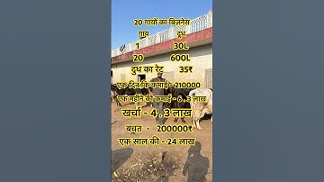 How I Earned $24,000 a Year From Just 20 Cows