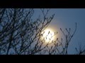 月夜だね(川中美幸)coverなつみ