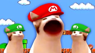 Pop Cat sings the Mario Bros Theme Song meme