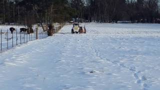 20161215 - Blessing of snow cover for the fields
