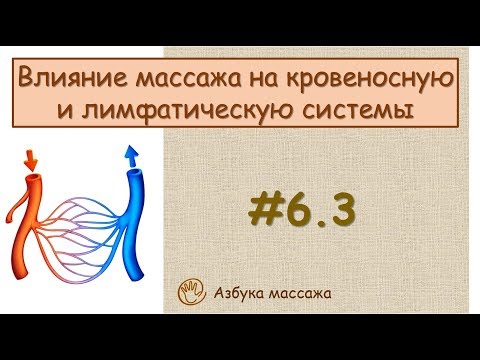 Влияние массажа на кровеносную и лимфатическую систему | Урок 6, часть 3 | Уроки массажа