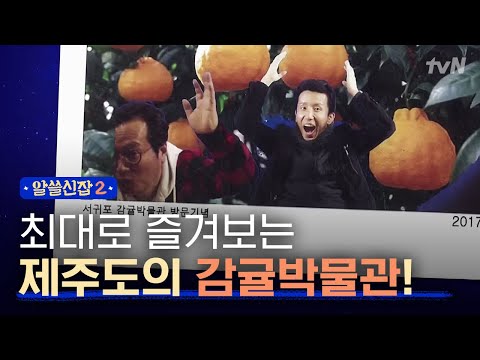 [#알쓸신잡2] 박사들의 제주도 투어! 놀거리 가득한 감귤 박물관에서 황교익, 유희열이 노는 법!