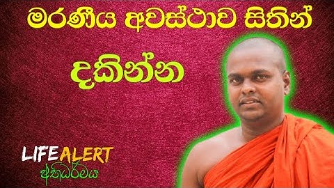 එදා කිසාගෝතමීට තථාගතයාණන් වහන්සේ හරි හිටියා. ඒත් මරණය හැමදාම වලංගුයි හැමෝටම| #LIFEALERT #Abhidharma