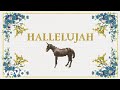 Tyler Childers Jubilee Hallelujah Version Audio Tyler Childers Jubilee Hallelujah Version Audio
