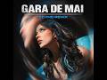 GARA DE MAI | Techno Remix 2026 🔥 DJ Project x Petra – Underground Techno Edit