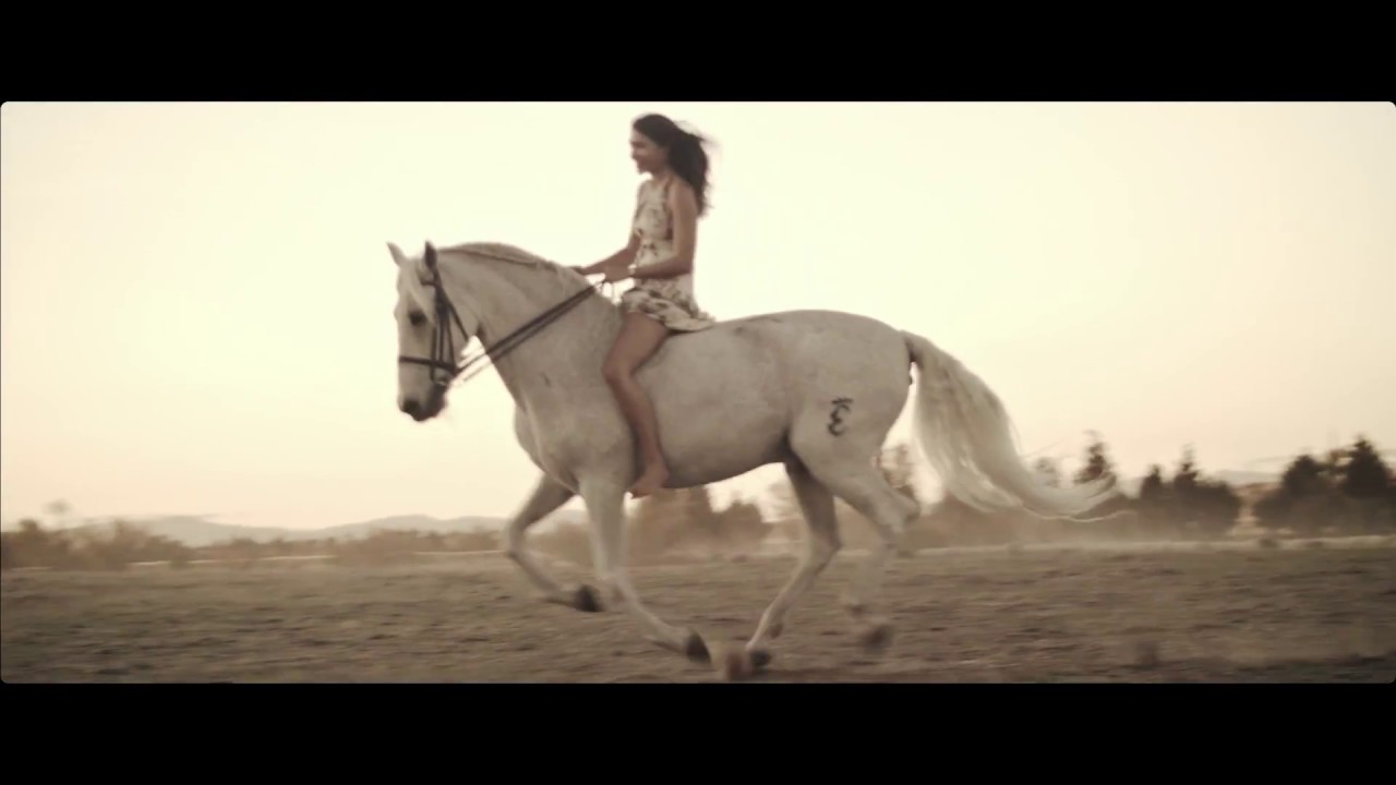 Sia   Unstoppable equestrian original art video