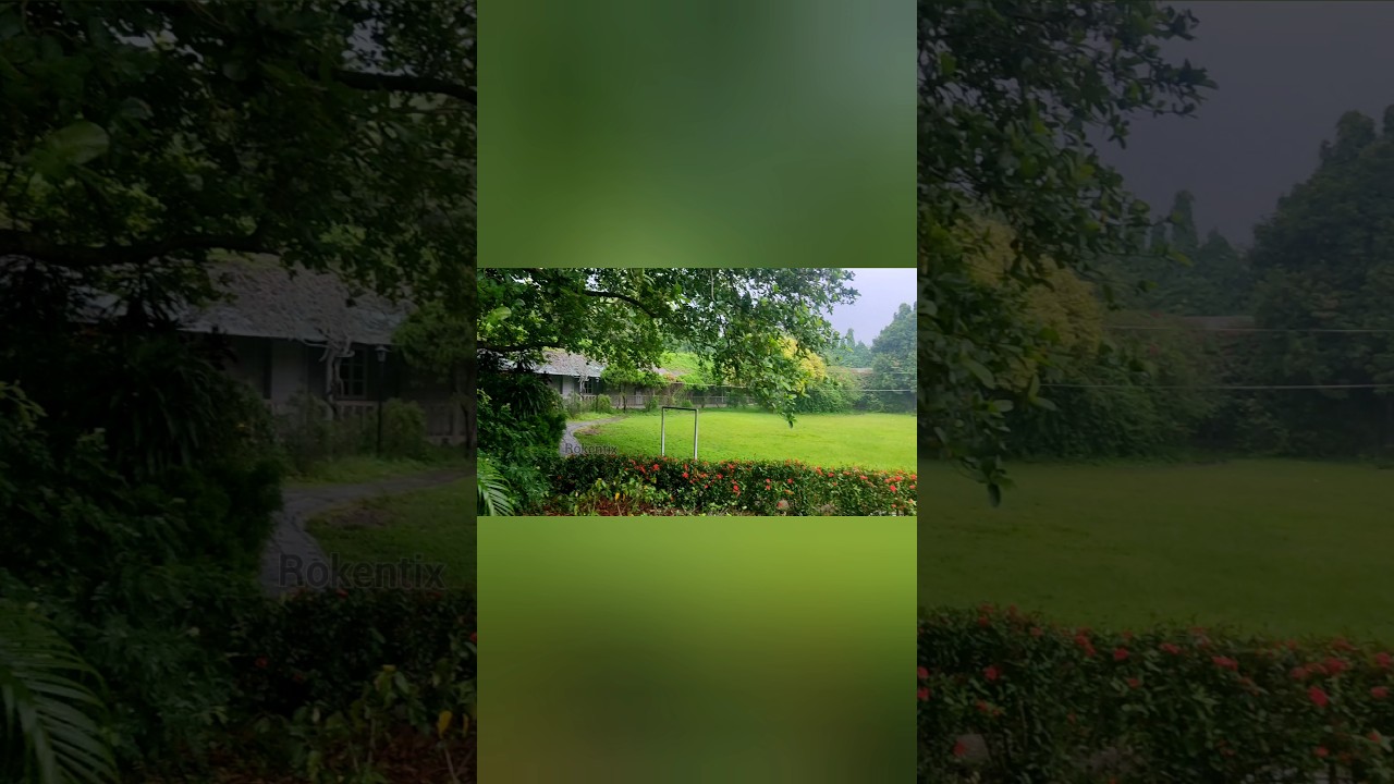 Luxury in Nature 🌿| Staying at Kazi & Kazi Tea Estate Resort Tetulia #rokentix #resorts #fyp #shorts