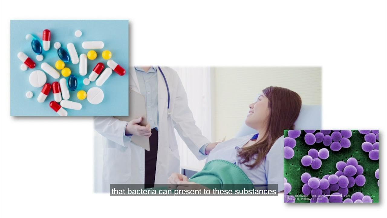 2. Antimicrobials What are they and how do they work? YouTube