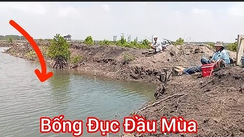 Hết Mùa cá Tráp/ chuyển sang Câu Bống Đục Đầu Mùa/ Câu Đùng Mỹ Xuân