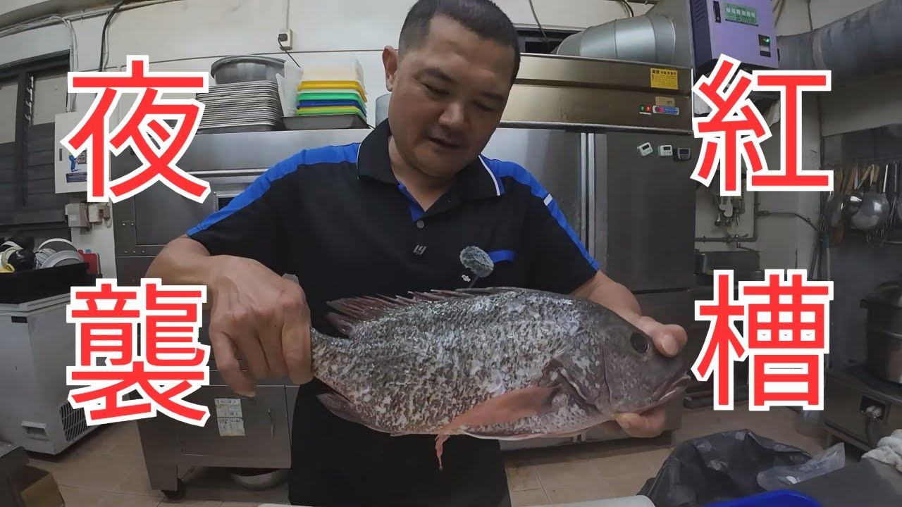 夜晚狙擊大物 紅槽料理教學 #釣魚
