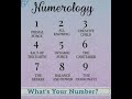 🙏🏻Basic Numerology 🙏🏻if u want any concern for your future plz contact me 🙏🏻