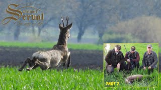 Spring roebuck hunting in Backa Palanka 2023 - Part 02