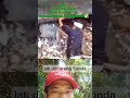 kang Dedi mulyadi turun tangan membersihkan sampah✅ #alamhijau #beranda #kdm #imansukiman