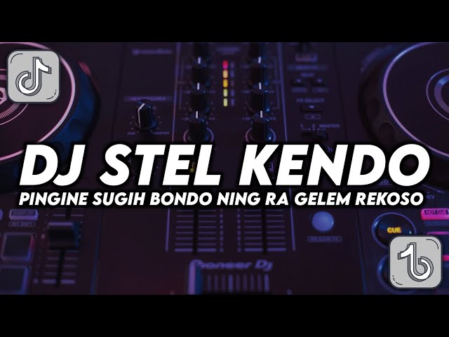 DJ STEL KENDO - JEDAG JEDUG VIRAL TIKTOK TERBARU - PINGINE SUGIH BONDO NING RA GELEM REKOSO class=