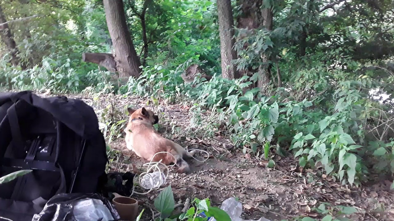 On the licking river greenway trial bored as fuck