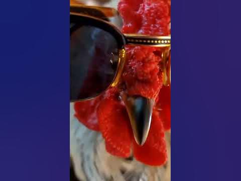 Задній фон - YouTube