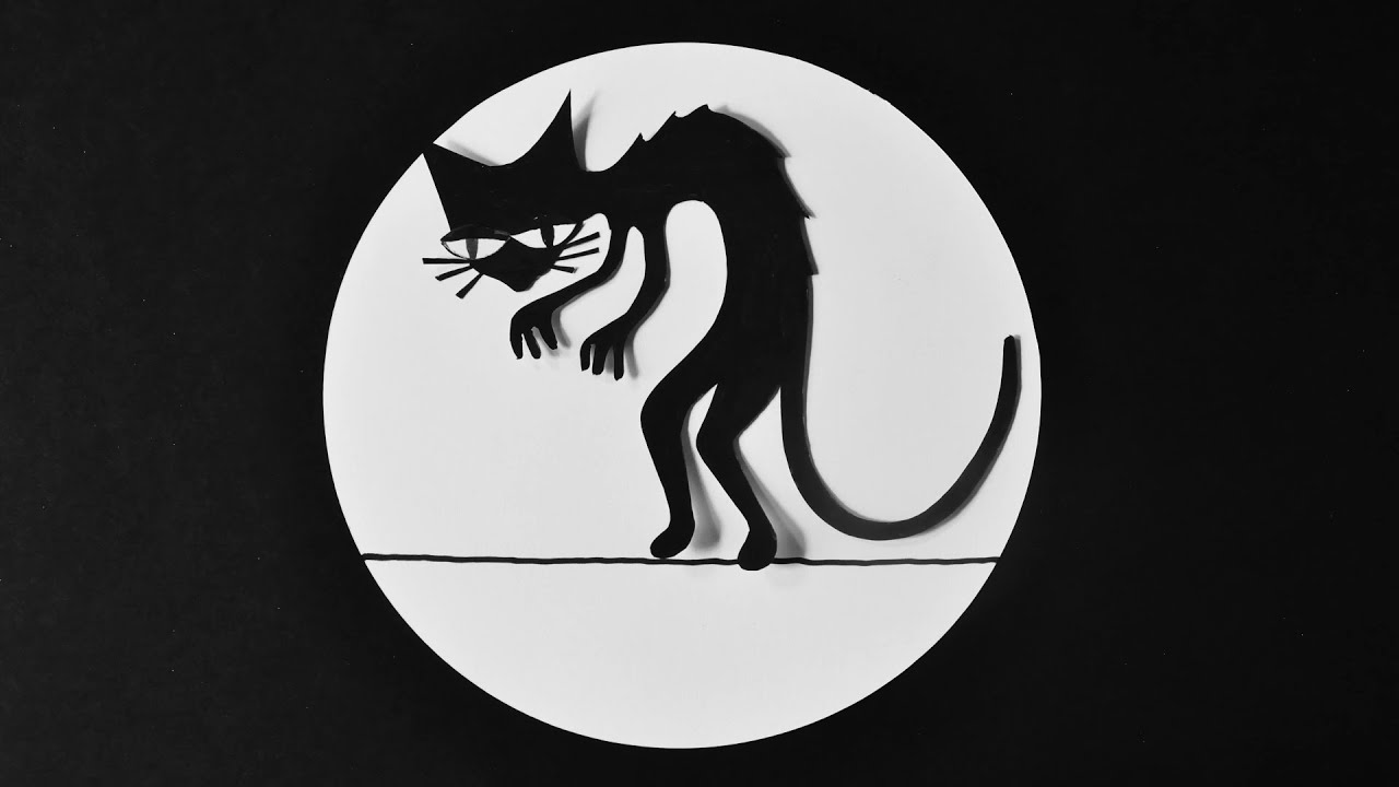 Maanzaad - Kat op de koord