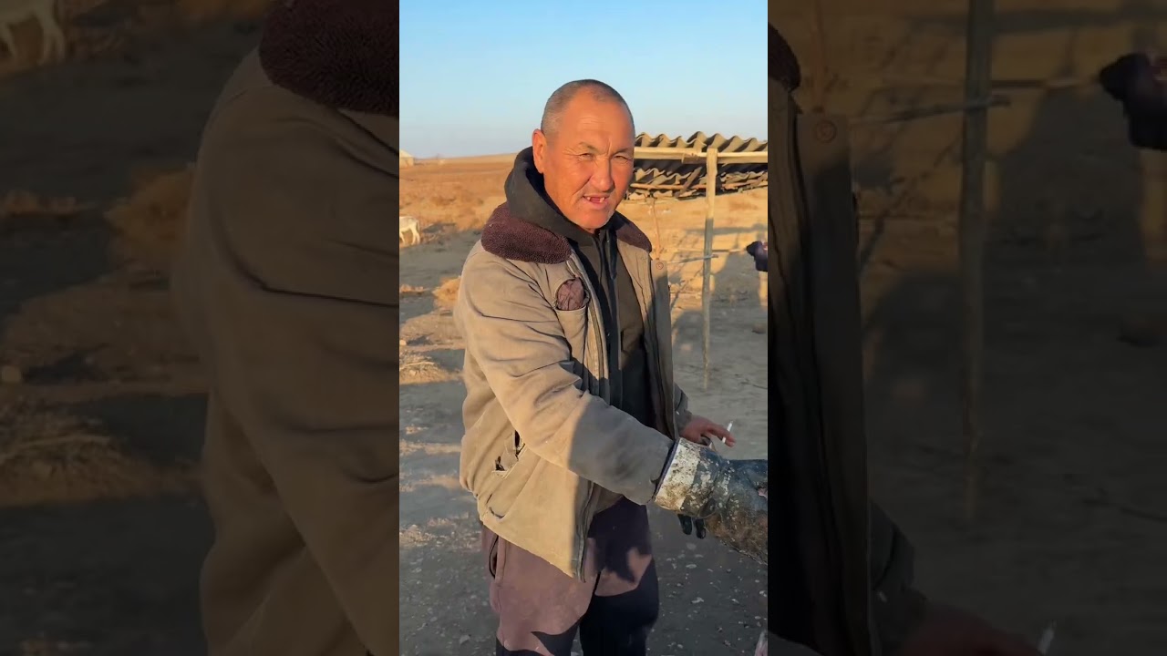 Афтадом Узбекистан Россия  Саёхат 2 Кисим      