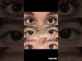 Almond eyes 👀 @Ananya-tr1em #yt #aesthetic #beauty #edit #eyes #fyp #shorts #trending