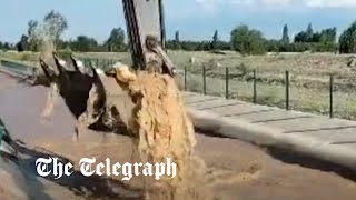 video: Watch: Extraordinary moment digger  plucks cow from raging floodwater