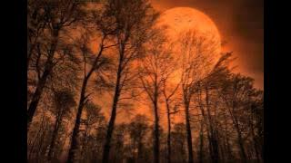 Klaus Schulze - The Theme: The Rhodes Elegy [HQ]