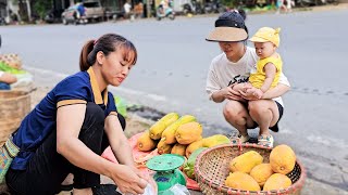 Harvest Ripe Papaya Goes To Market Sell - Daily Life In Farm | Lý Thị Mùi