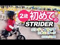 ストライダー　エンジョイカップ 六甲山ステージ 2才の部