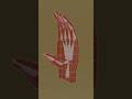 Modelado de Mano Low Poly timelapse | Tutorial Blender